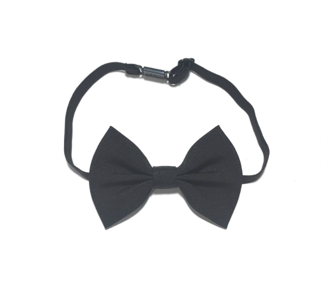 Bow Tie