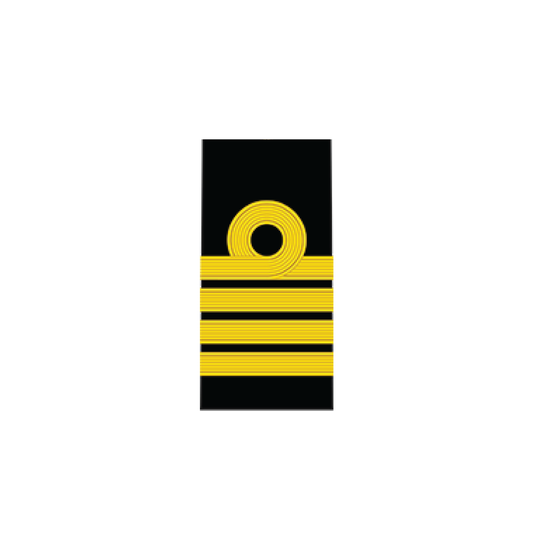 NO. 2 MESS STANDARD: NAVY RANK