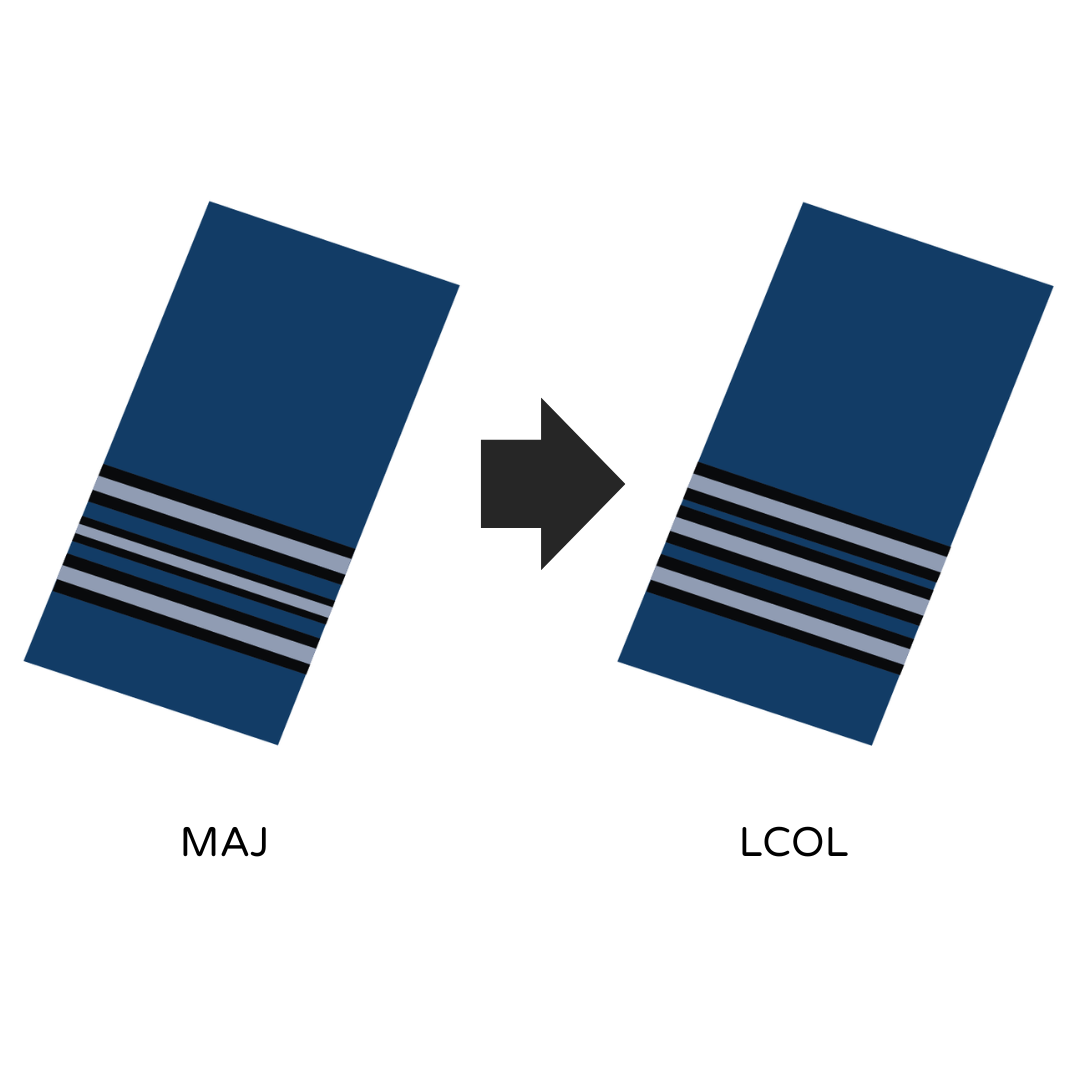 NO. 2 MESS STANDARD: AIR FORCE - RANK CHANGE