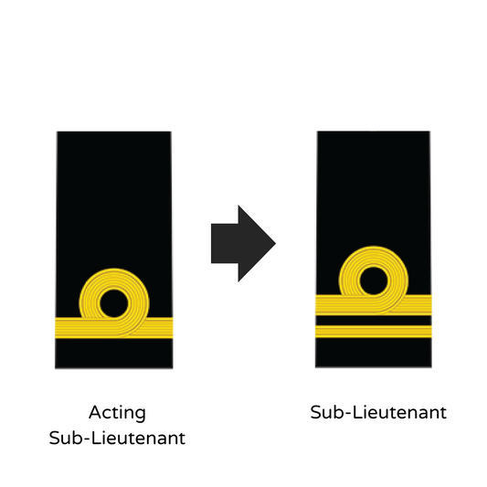 NO. 2 MESS STANDARD: NAVY - RANK CHANGE
